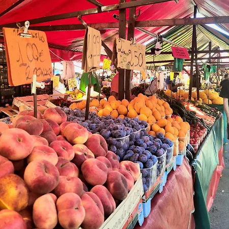 Cosycasa & Free Bike