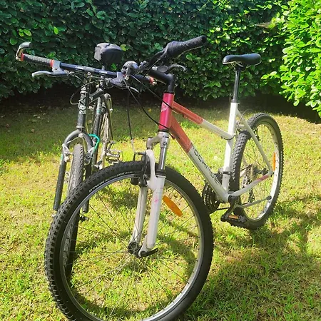 Cosycasa & Free Bike Τορίνο