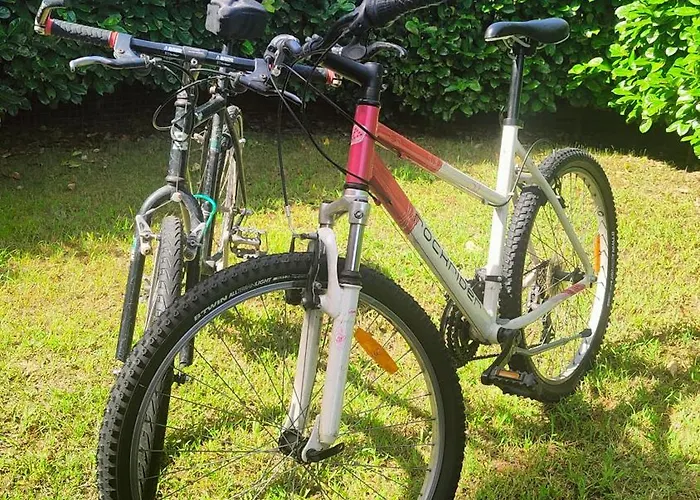Cosycasa & Free Bike Torino