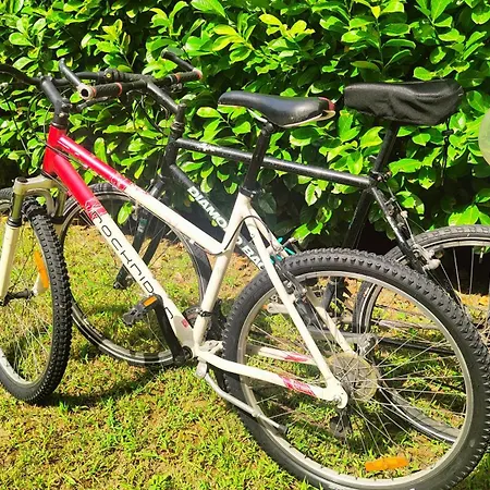 Cosycasa & Free Bike شقة